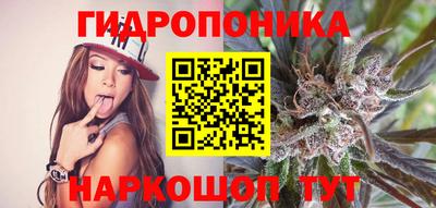 прущие крисы Анапа