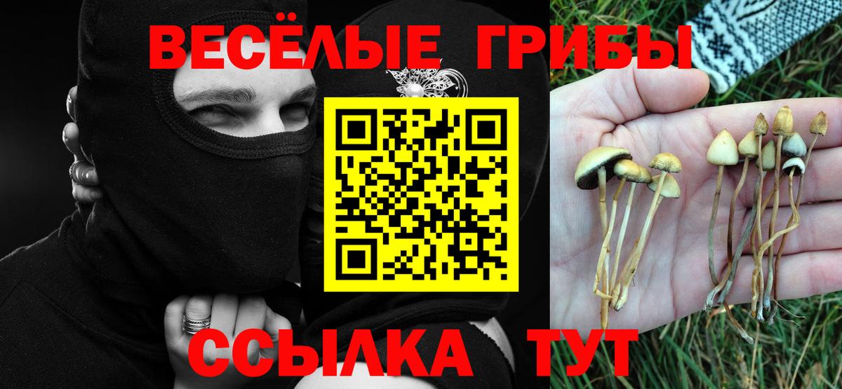 Галлюциногенные грибы ЛСД Партизанск