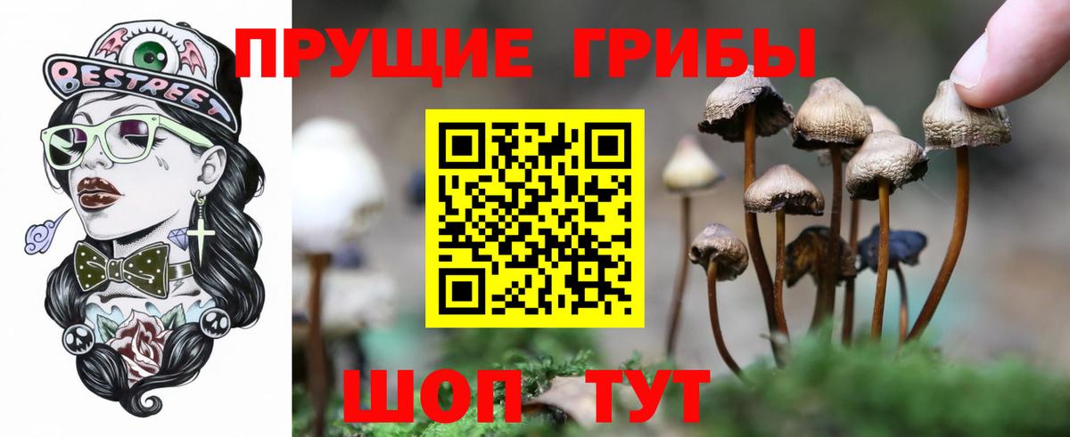 Галлюциногенные грибы мицелий  Вход с VPN  Партизанск  Псилоцибиновые грибы Psilocybe 